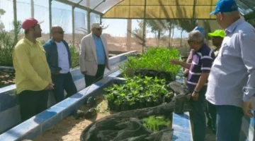 رئيس مركز بحوث الصحراء يقوم بزيارة محطة شمال سيناء في الشيخ زويد