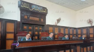 حكم بالسجن 3 سنوات على كهربائي تسبب في صعق لص خلال محاولة سرقة تروسيكل في أسيوط