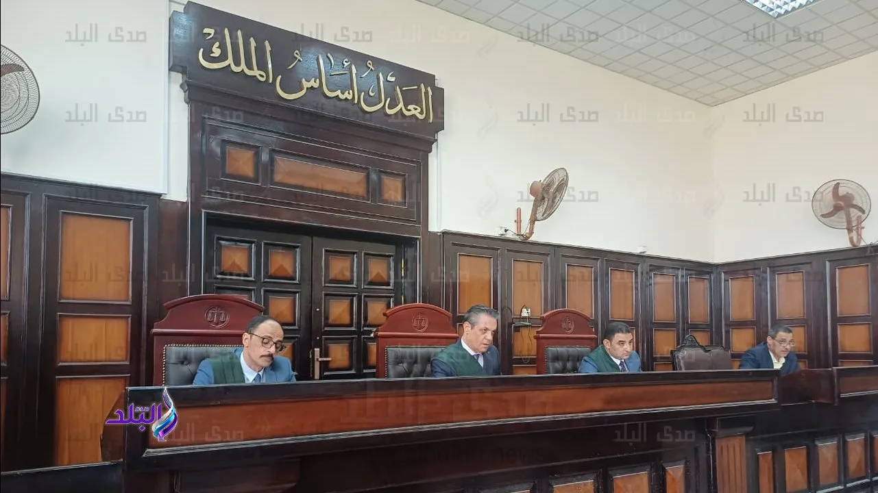 حكم بالسجن 3 سنوات على كهربائي تسبب في صعق لص خلال محاولة سرقة تروسيكل في أسيوط