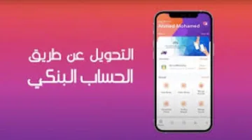 خطوات استرداد الأموال المرسلة بالخطأ عبر إنستاباي والإجراءات القانونية اللازمة