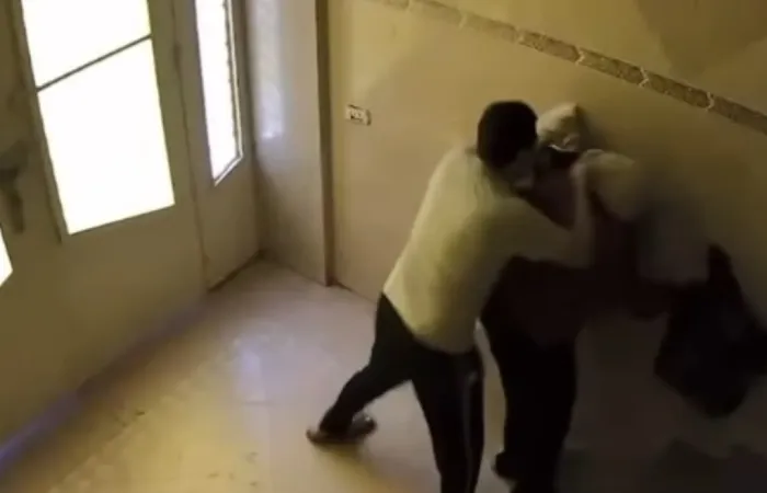 تحقيق وزارة الداخلية في فيديو يظهر اعتداء على أستاذة جامعية وابنتها في المنصورة تحقيق وزارة الداخلية في فيديو يظهر اعتداء على أستاذة جامعية وابنتها في المنصورة