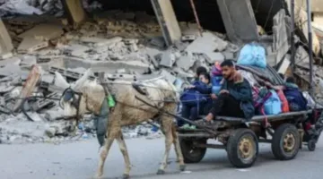 حتى الحمير تم سلبها: إسرائيل تستولي على وسائل النقل الأخيرة في غزة