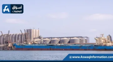 ميناء دمياط يستقبل 24.5 ألف طن من القمح الأوكراني لصالح القطاع العام