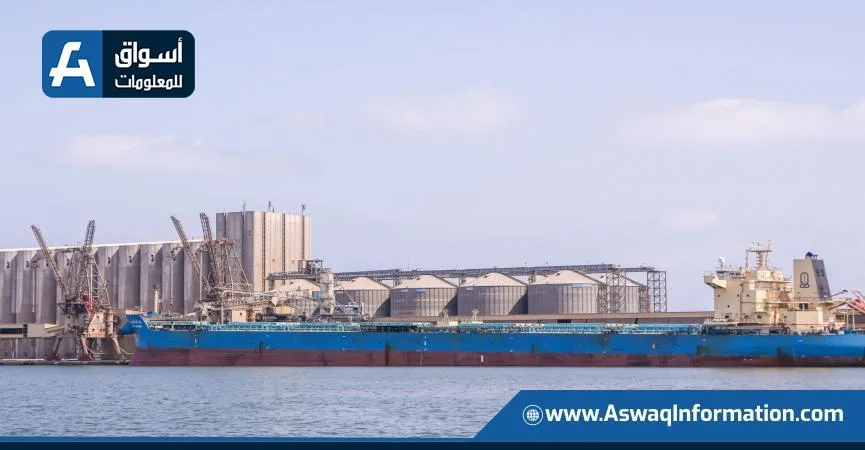 ميناء دمياط يستقبل 24.5 ألف طن من القمح الأوكراني لصالح القطاع العام