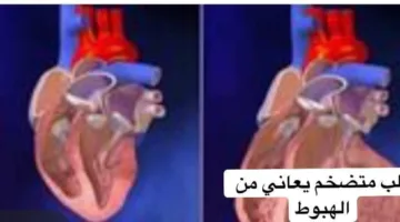 نشرة حول قضايا المرأة وأخبار متنوعة | عادة ليلية تزيد من خطر الأمراض القلبية.. أعشاب وتوابل تخفف الانتفاخ.. تحذيرات من النوم مع تشغيل المروحة في فصل الصيف