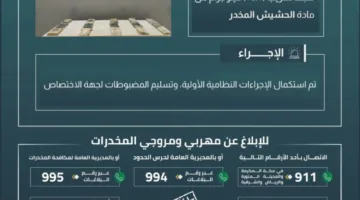 حرس الحدود في جازان ينجح في إحباط محاولة تهريب 46.4 كيلوغرام من مخدر الحشيش.