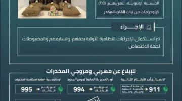 حرس الحدود في عسير يعتقل خمسة أشخاص مخالفين لقوانين أمن الحدود بتهمة تهريب 110 كيلوغرامات من نبتة القات المخدرة.