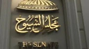 استبعاد مرشحي مجلس الشيوخ بشكل فردي.. ما هي الشروط اللازمة للمشاركة في الانتخابات؟