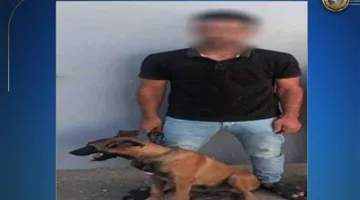 الداخلية توضح تفاصيل فيديو “كلب الدقهلية”.. والمتهم يعترف: كنت أمزح لجذب المشاهدات.