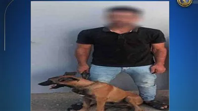 الداخلية توضح تفاصيل فيديو “كلب الدقهلية”.. والمتهم يعترف: كنت أمزح لجذب المشاهدات. الداخلية توضح تفاصيل فيديو “كلب الدقهلية”.. والمتهم يعترف: كنت أمزح لجذب المشاهدات.