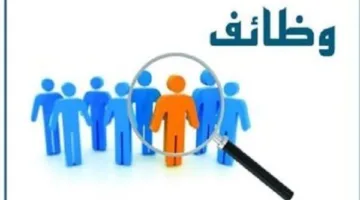 وظائف شاغرة في مجالات متنوعة برواتب تتجاوز 13 ألف جنيه مع مزايا شهرية.. تعرف على المتطلبات وطريقة التقديم.