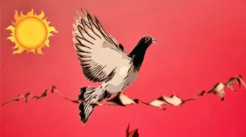 تعتبر النار في الثقافة الكردية رمزًا للانتصار