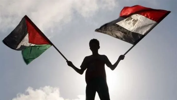 أيرلندا تثمن مساهمة مصر الكبيرة في معالجة الوضع في غزة.