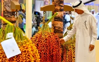 مركز حمدان بن محمد للتراث يطلق مسابقة “كأس تمرة البيت”