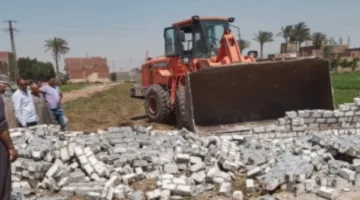 أخبار الوادي الجديد: إزالة تجاوزات على 15 فدانًا وإقامة دورات تدريبية حول تحديث كارت الفلاح