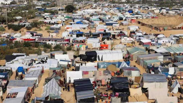 رتيبة النتشة: “المدينة الإنسانية” في رفح الفلسطينية هو مخطط تهجير يعيد إنتاج نموذج “الجاتوهات” النازية رتيبة النتشة: “المدينة الإنسانية” في رفح الفلسطينية هو مخطط تهجير يعيد إنتاج نموذج “الجاتوهات” النازية
