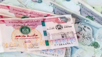 عاجل: سعر الدرهم الإماراتي مقابل الجنيه المصري اليوم الثلاثاء 15 يوليو 2025