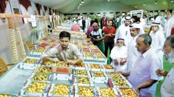افتتاح مهرجان الرطب المحلي في 24 من الشهر الحالي