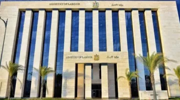 فرص عمل جديدة للشباب في شركة الكهرباء برواتب تصل إلى 13 ألف جنيه