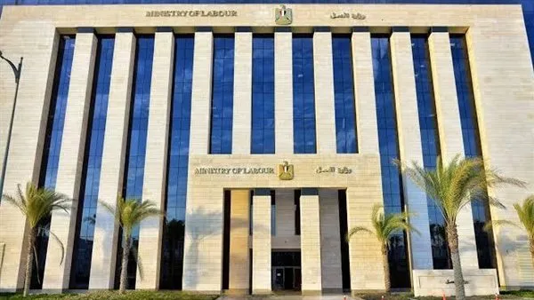فرص عمل جديدة للشباب في شركة الكهرباء برواتب تصل إلى 13 ألف جنيه فرص عمل جديدة للشباب في شركة الكهرباء برواتب تصل إلى 13 ألف جنيه