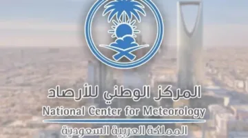 عواصف تثير الغبار وانخفاض الرؤية.. إليك تفاصيل أحوال الطقس في السعودية اليوم