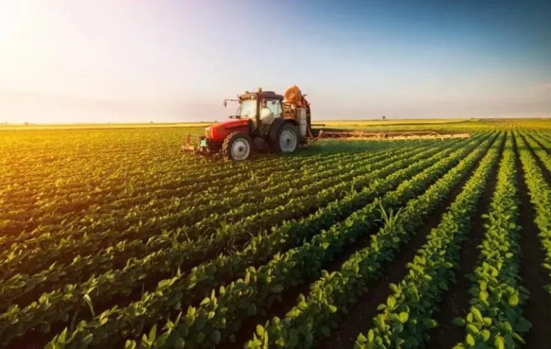 البورصة تدرس تسجيل حق اكتتاب الدولية للمحاصيل لرفع رأسمالها إلى مليار جنيه