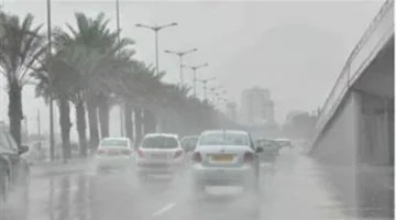 أمطار رعدية وحرارة مرتفعة | تنبيه عاجل من الأرصاد حول حالة الطقس خلال الساعات القادمة