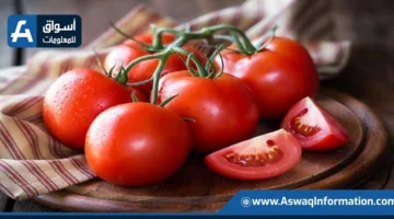 أمريكا تفرض رسومًا نسبتها 17% على استيراد الطماطم من المكسيك