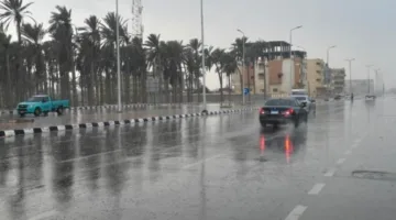 عاجل.. “هيئة الأرصاد” توضح أسباب هطول الأمطار في مصر خلال يوليو