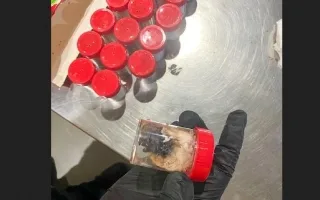 صادم لمسؤولي الجمارك في المطار: اكتشاف 1500 عنكبوت مخبأة داخل عبوات بسكويت
