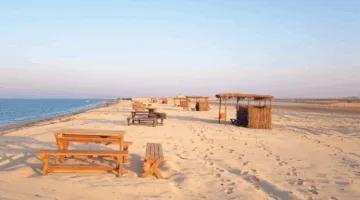 البلدية: استراتيجية متكاملة لتطوير 18 شاطئًا خلال فصل الصيف