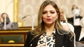 طفل كل ثانية: استفسار برلماني بشأن استراتيجيات التعامل مع زيادة السكان