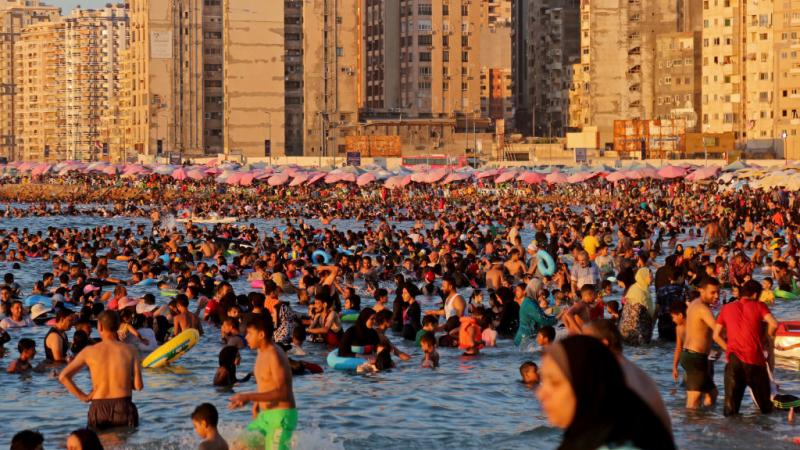 المصريون في الإسكندرية