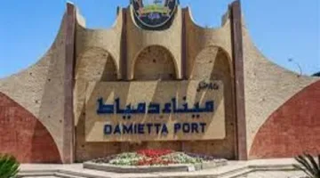 ميناء دمياط يعاين وصول 15 سفينة في غضون 24 ساعة