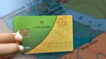 كيفية إضافة المواليد إلى بطاقة التموين من خلال منصة مصر الرقمية عام 2025