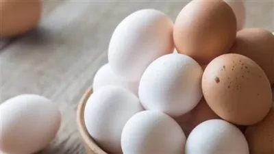 مادة غذائية في البيض تخفض من مخاطر الإصابة بالزهايمر مادة غذائية في البيض تخفض من مخاطر الإصابة بالزهايمر