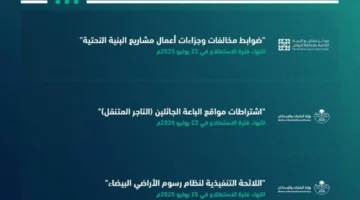 إطلاق 28 مشروعًا على منصة استطلاع لجمع آراء الجمهور والقطاعات الحكومية والخاصة