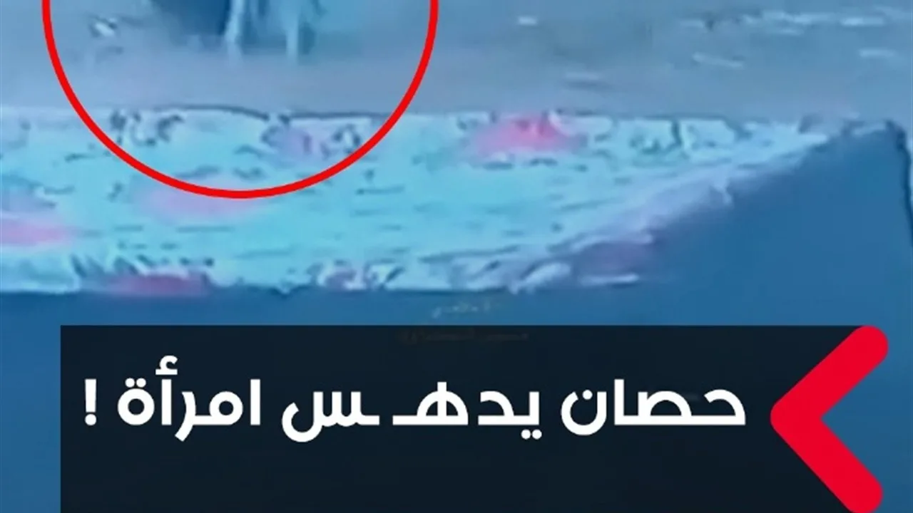 حادثة غريبة: خيل يدهس امرأة في النجف حادثة غريبة: خيل يدهس امرأة في النجف