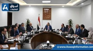 استثمار فندقي وإداري: رئيس الوزراء يناقش الخطة الأولية لاستغلال “قصر القطن” في الإسكندرية.