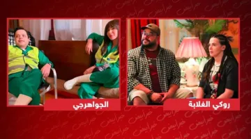 30 يوليو .. عرض فيلمي “الجواهرجي” و”روكي الغلابة” في السينما المصرية