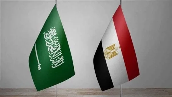 مسؤول سعودي: العلاقات بين المملكة ومصر “قوية” مسؤول سعودي: العلاقات بين المملكة ومصر “قوية”