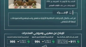 حرس الحدود في عسير يعتقل خمسة أشخاص خالفوا نظام أمن الحدود لتهريب 105 كيلوغرامات من نبات القات المخدر.