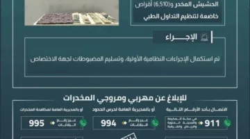 حرس الحدود في جازان يوقف محاولة تهريب 16.5 كيلوجرام من الحشيش و6,510 أقراص تحت التنظيم الطبي.