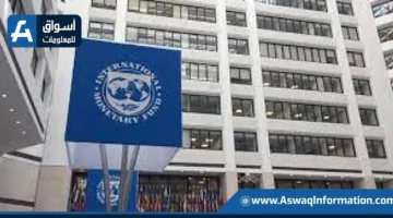 صندوق النقد: توحيد سعر الصرف في مصر ساهم في جذب استثمارات كبيرة وشراء أذون خزانة.