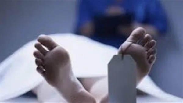 قلبي يتألم من أجل ابني: مقتل امرأة على يد ابنها في قنا قلبي يتألم من أجل ابني: مقتل امرأة على يد ابنها في قنا