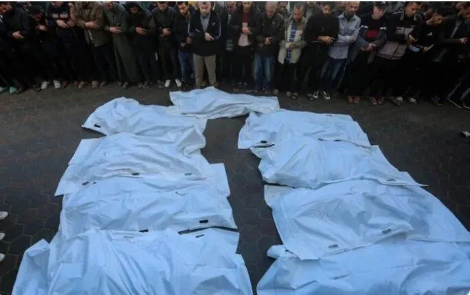 حماس: يجب على المجتمع الدولي التدخل لوقف انتهاكات الاحتلال في غزة حماس: يجب على المجتمع الدولي التدخل لوقف انتهاكات الاحتلال في غزة
