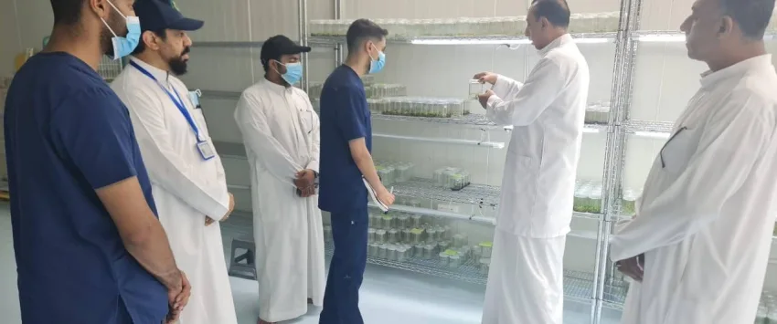 البيئة في الشرقية تعلن عن بدء برنامج تدريبي مشترك مع جامعة الملك فيصل البيئة في الشرقية تعلن عن بدء برنامج تدريبي مشترك مع جامعة الملك فيصل