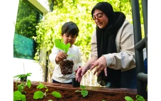 براعم تزرع 2500 نبتة في أبوظبي براعم تزرع 2500 نبتة في أبوظبي