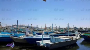 استئناف النشاط في شواطئ البحر الأحمر: العودة إلى الصيد بعد انقطاع دام شهرين