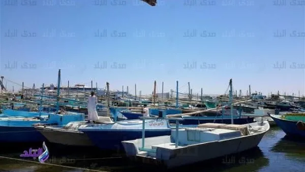 استئناف النشاط في شواطئ البحر الأحمر: العودة إلى الصيد بعد انقطاع دام شهرين